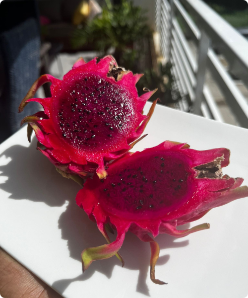 Fruit du dragon (2)