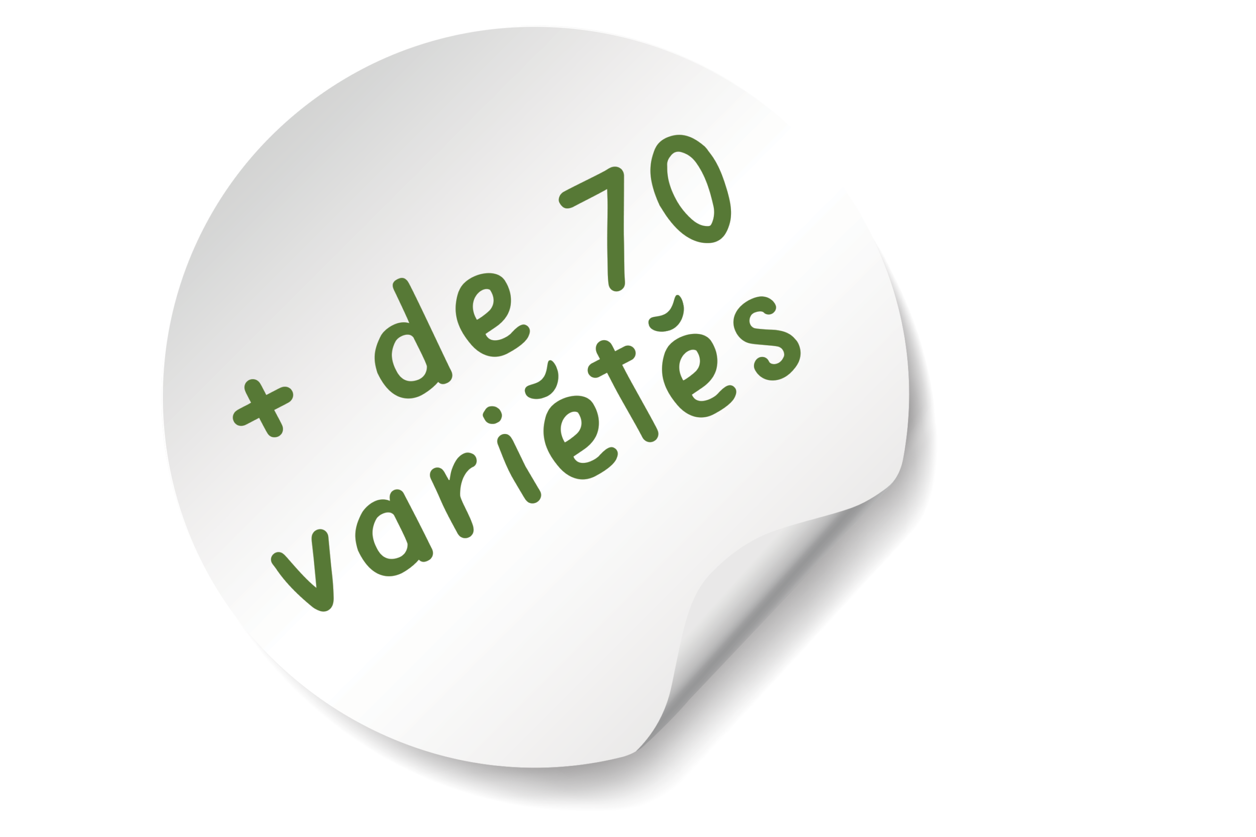 Natirel Verjé - Plus de 70 variétés de légumes et fruits